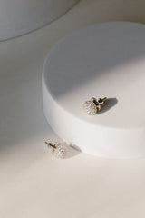 Clous d'oreilles - Eclat