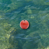 Liliflo - marque de bijoux interchangeable Swiss made - Pierre semi-précieuse Corail