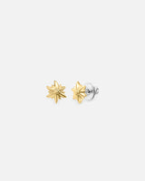 Liliflo - Clous d'oreilles interchangeable Swiss made - Collection Edelweiss Melanie Oesch - Couleur acier doré