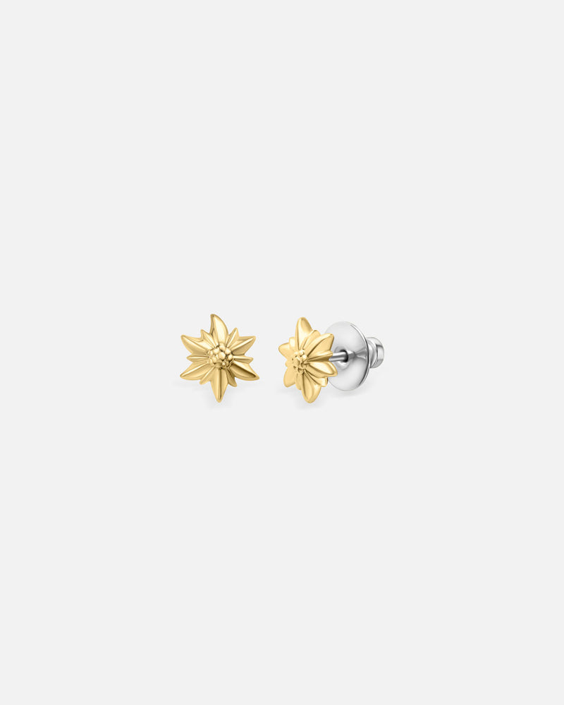 Liliflo - Clous d'oreilles interchangeable Swiss made - Collection Edelweiss Melanie Oesch - Couleur acier doré
