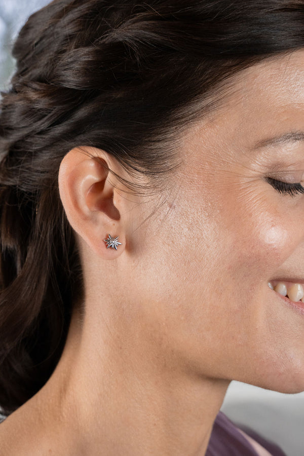 Liliflo - Clous d'oreilles interchangeable Swiss made - Collection Edelweiss Melanie Oesch - Couleur acier