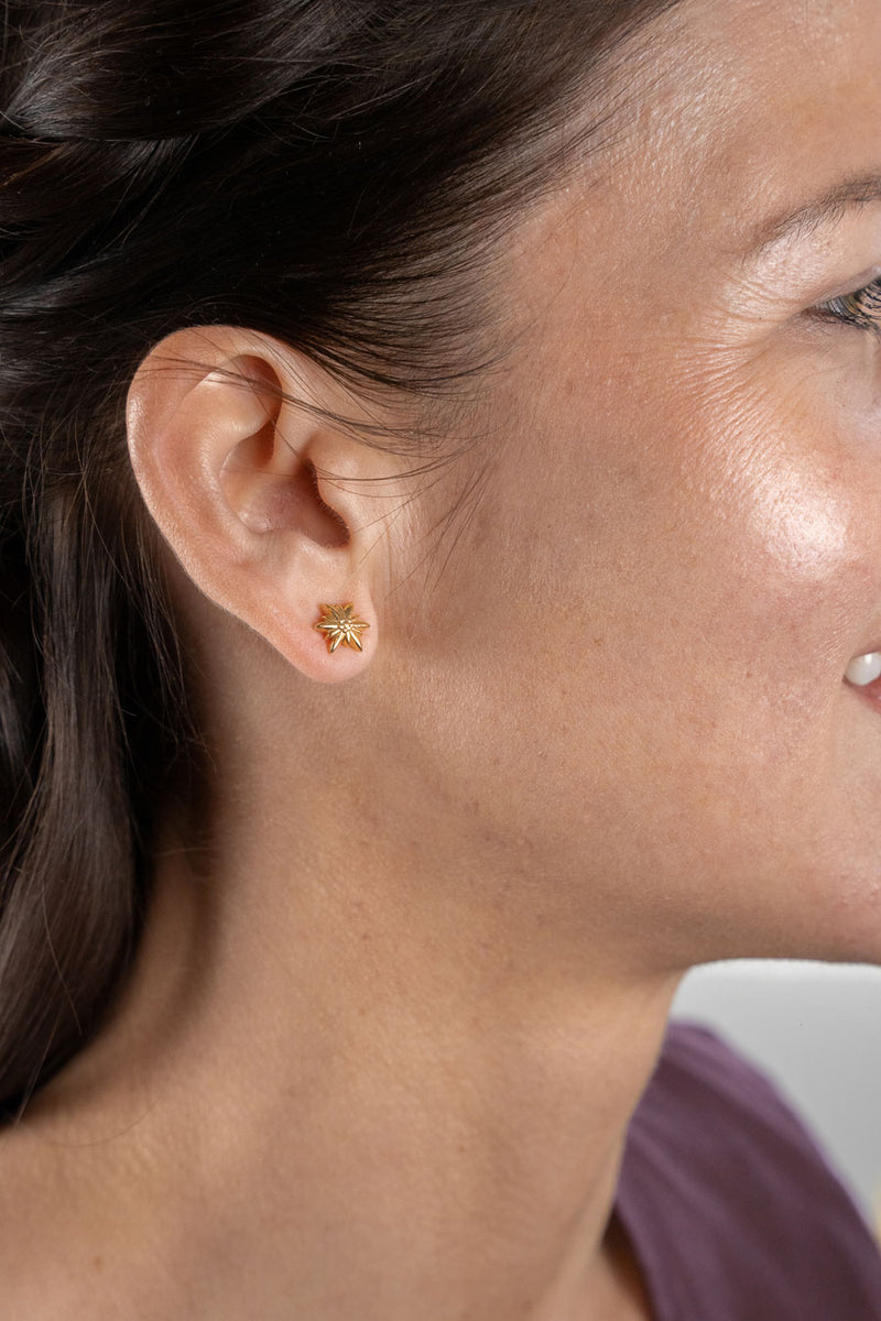 Liliflo - Clous d'oreilles interchangeable Swiss made - Collection Edelweiss Melanie Oesch - Couleur acier doré