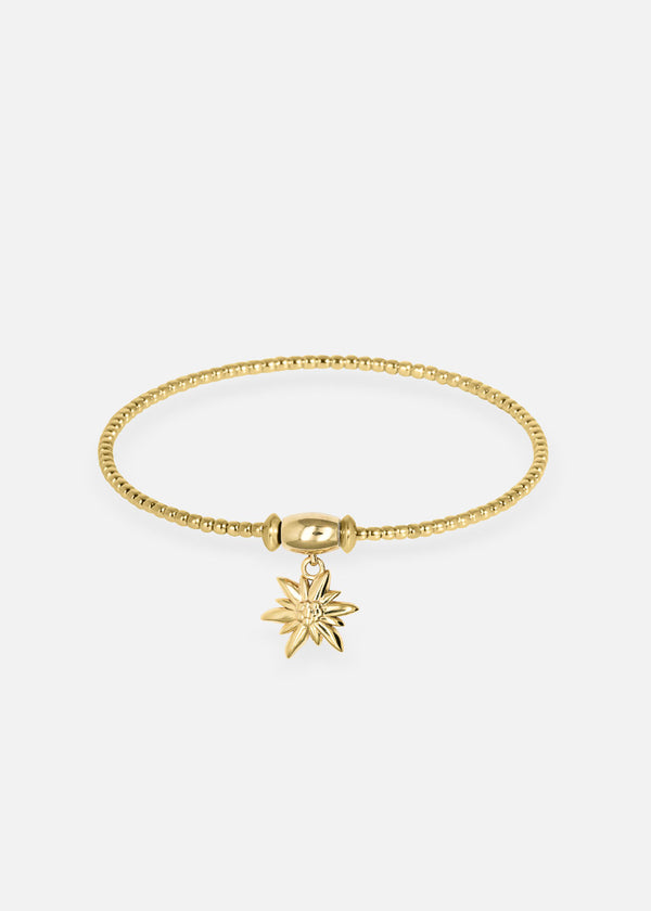 Liliflo - Bracelet Milonga interchangeable Swiss made - Collection Edelweiss Melanie Oesch - couleur acier doré et Lien Edelweiss