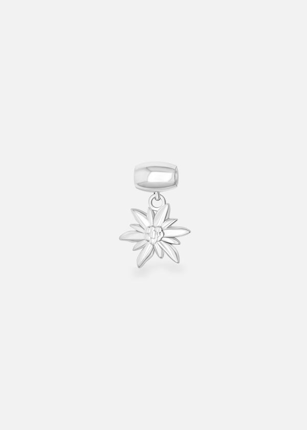 Lien Edelweiss interchangeable Swiss made - Collection Edelweiss Melanie Oesch - Lien couleur acier