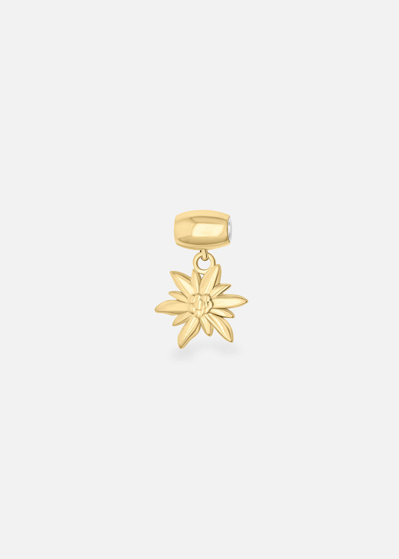 Lien Edelweiss interchangeable Swiss made - Collection Edelweiss Melanie Oesch - Lien couleur acier doré